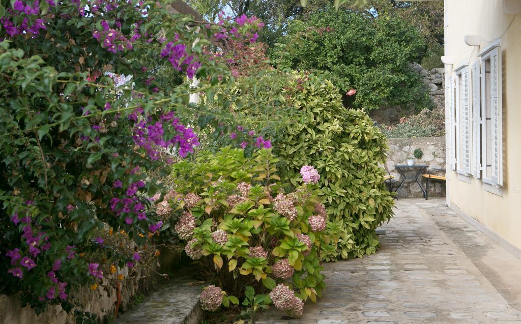 Villa Bona Dubrovnik Exteriör bild