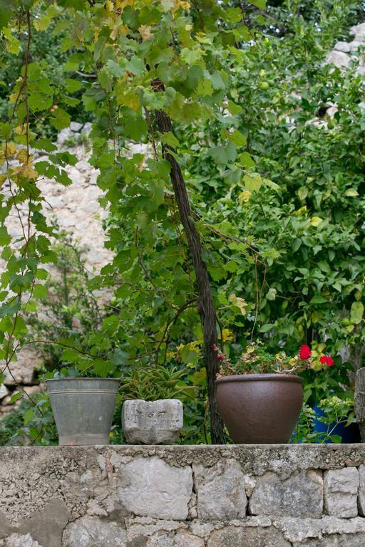 Villa Bona Dubrovnik Exteriör bild